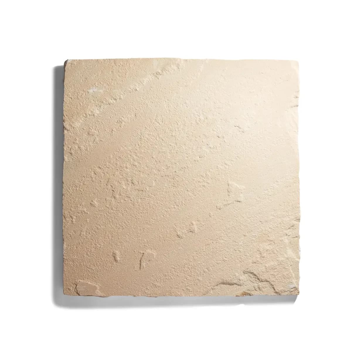 Fossil Mint - alternate view