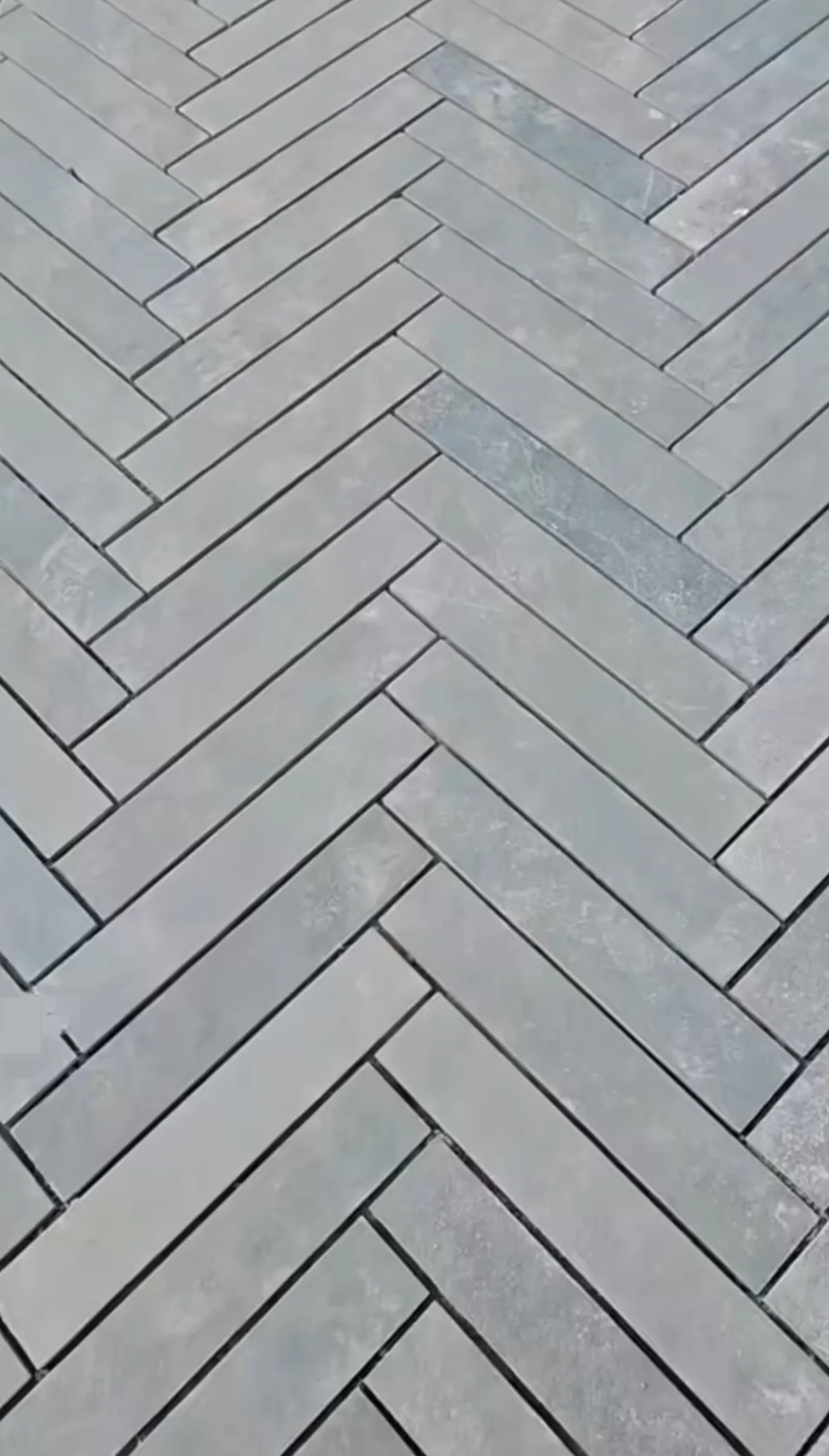 Imperial Blue - alternate view