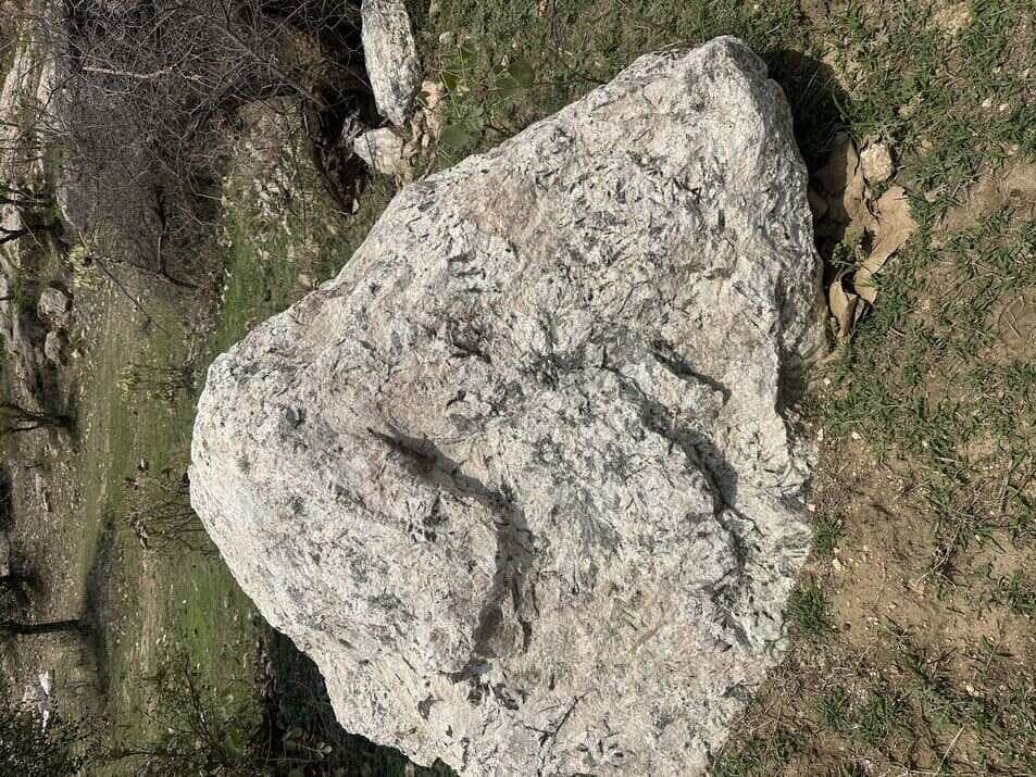 Rosy White Boulder