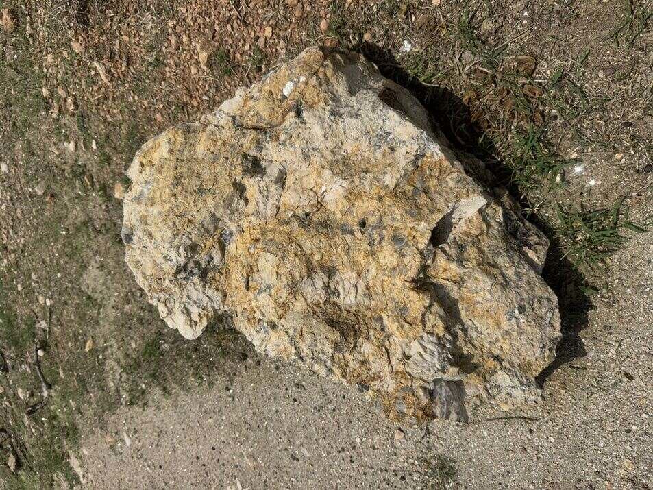 Northern Gold Boulder